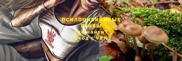 прущий лед Алзамай